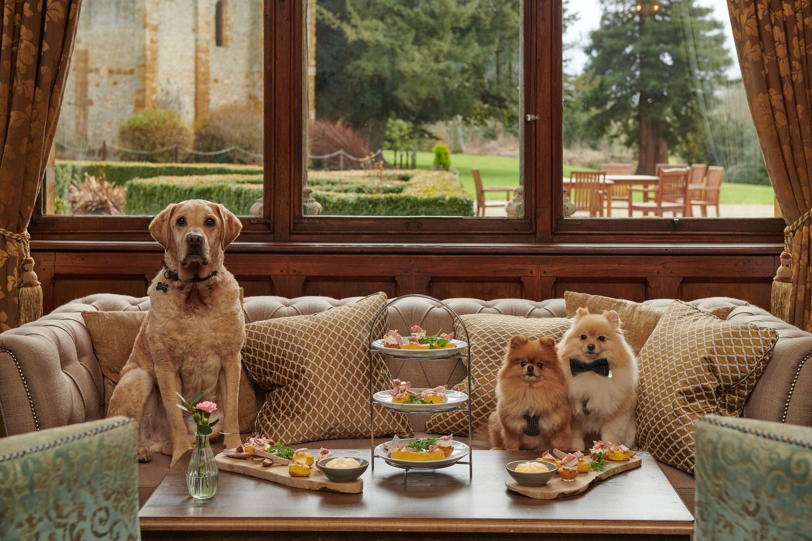 Dog Friendly Hotel